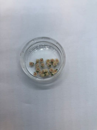 3D Mini Roser Hvid-Gul