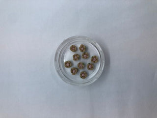 3D-butik Roser Brune