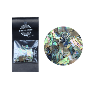 ABALONE SEA SHELL 02