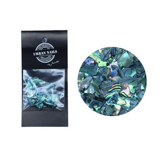 ABALONE SEA SHELL 04