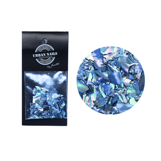 ABALONE SEA SHELL 06