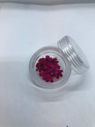 Blomster  Pink