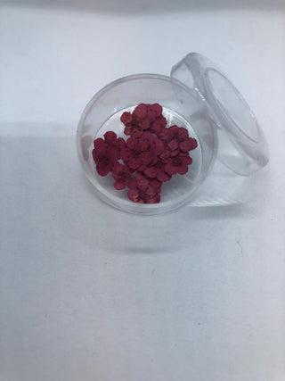 Blomster Rosa