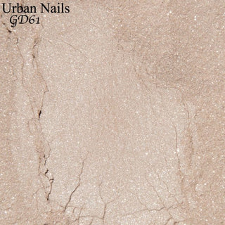 Glitter Dust 61