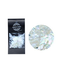 ABALONE SEA SHELL 01