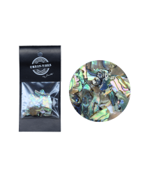 ABALONE SEA SHELL 02