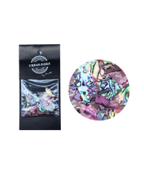 ABALONE SEA SHELL 03