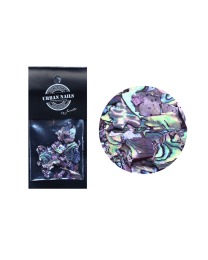 ABALONE SEA SHELL 05