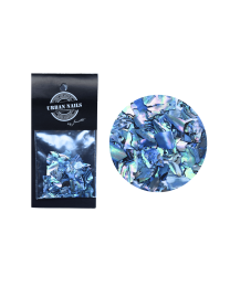 ABALONE SEA SHELL 06