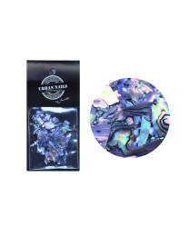 ABALONE SEA SHELL 07