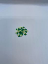 Grønt - hvidt blad medium