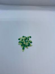 Grønt - hvidt blad small 