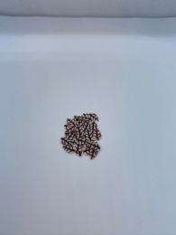 Lyserød - hvidt blad large 