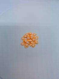 Orange-hvidt hjerte-19 20stk