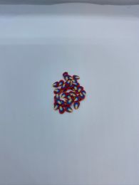 Rød - blå blad small 